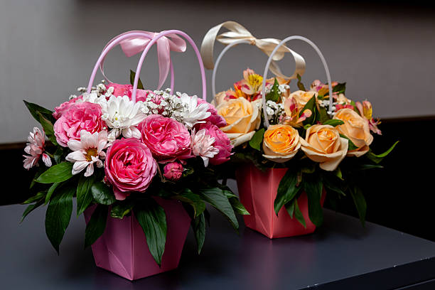 Valokuvausympäristö